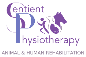 Sentient Physiotherapy