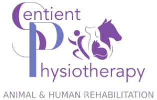 Sentient Physiotherapy